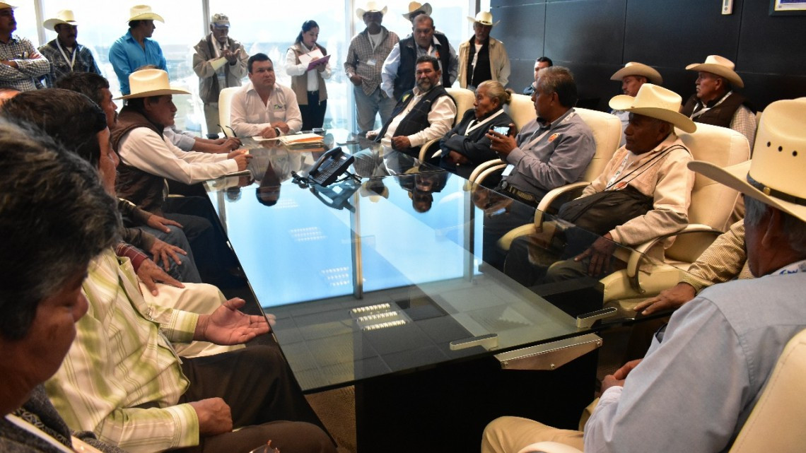 Estado no dejará solo a los citricultores de Tamaulipas