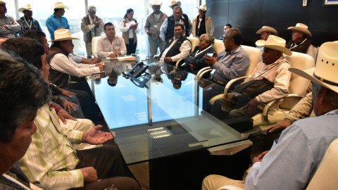 Estado no dejará solo a los citricultores de Tamaulipas