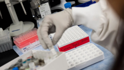 Vacuna de Johnson & Johnson muestra resultados eficaces en monos