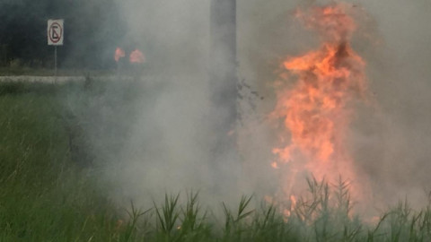Fuertes vientos propagan incendio de pastizales en Altamira