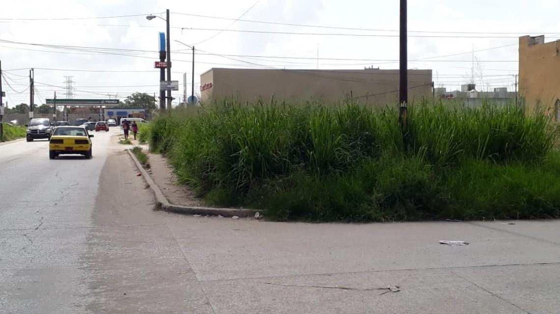 Enorme maleza genera miedo entre vecinos del sector arboledas