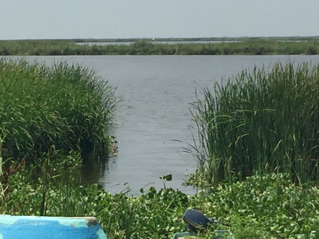 Fuerte explosión en medio del sistema lagunario alerta a vecinos ejidales