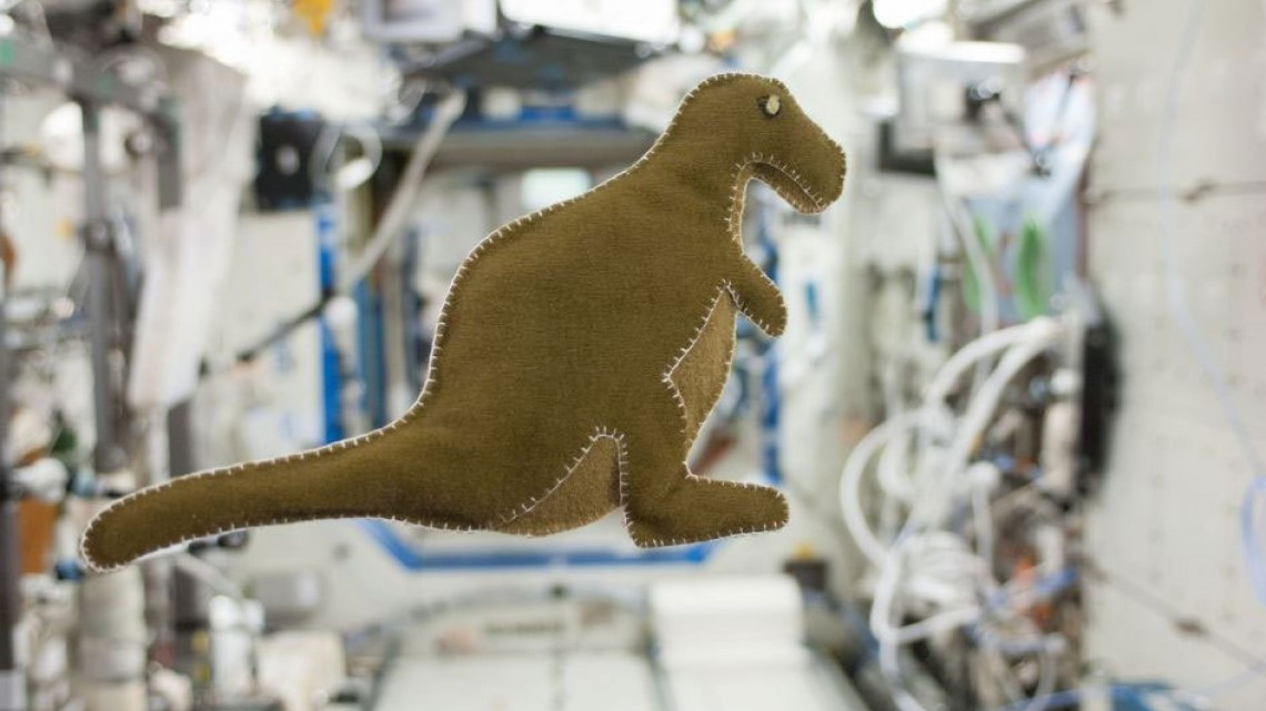 ¡Un polizonte! Se filtra un dinosaurio de peluche en la misión de SpaceX 
