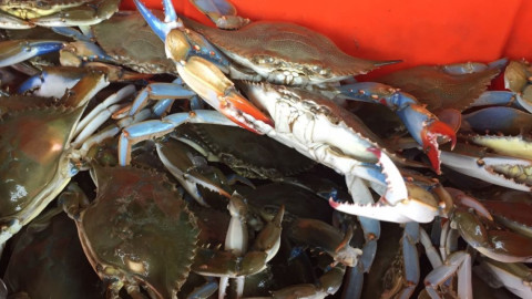 Comerciantes gestionan créditos para surtir sus negocios