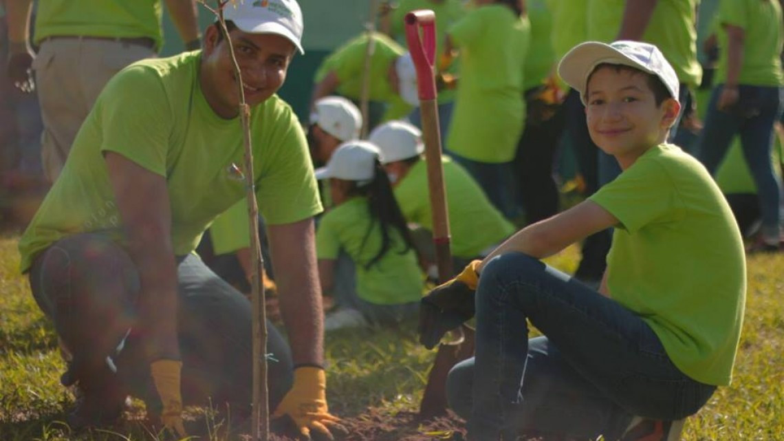 Realizan  trabajos de reforestación