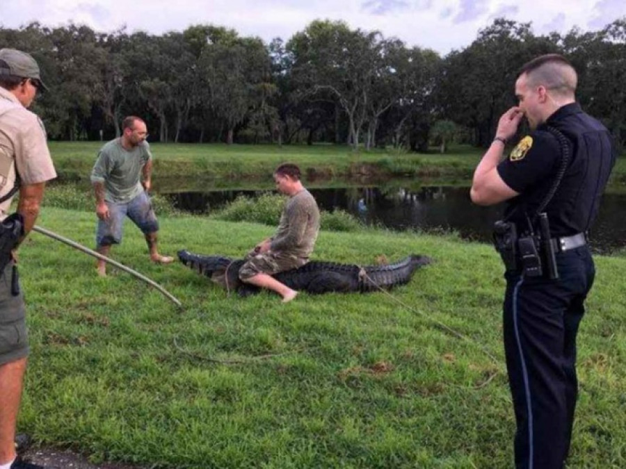 Caimán ataca a hombre el Florida