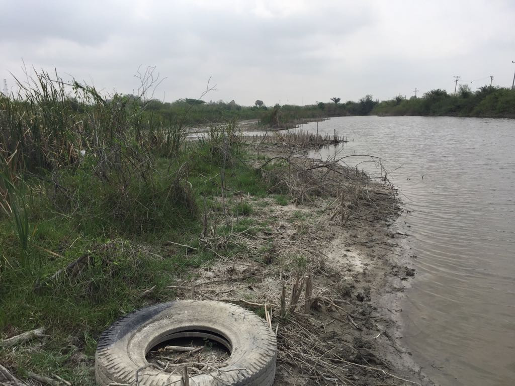 Urge proyecto de captación de agua lluvia en el Champayán y el Tamesí
