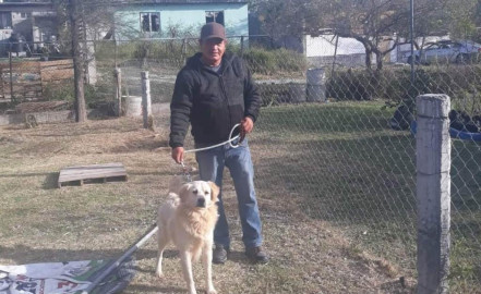 Promueve Alcalde Carlos Peña Ortiz programa de adopción de mascotas