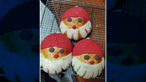 ¡De Tampico para el mundo! Llegan las Santa Conchas 