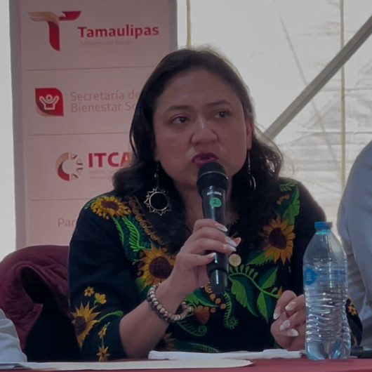 Denuncia senadora violencia en deportaciones