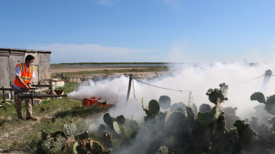 Inician en Matamoros campaña de fumigación para erradicar mosco transmisor del dengue