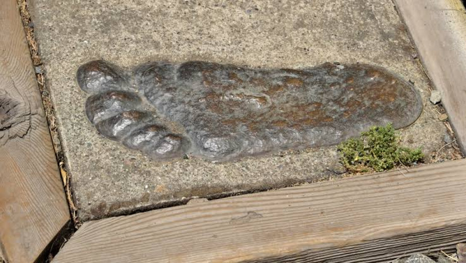 Ofrecen fuerte cantidad de dinero por capturar a Pie Grande