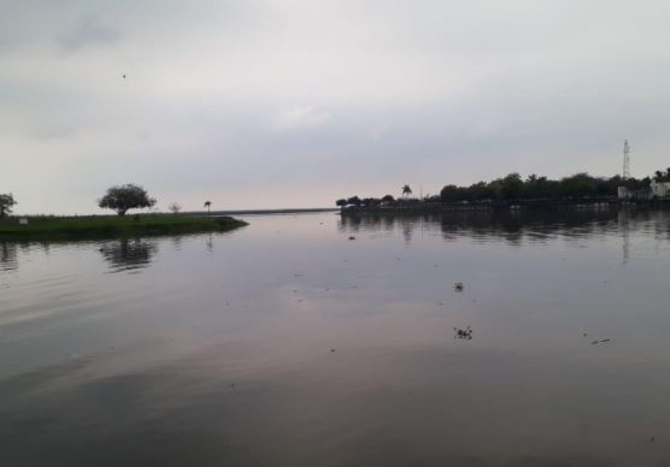 Ganaderos y agricultores, los más beneficiados con las lluvias en la zona Sur