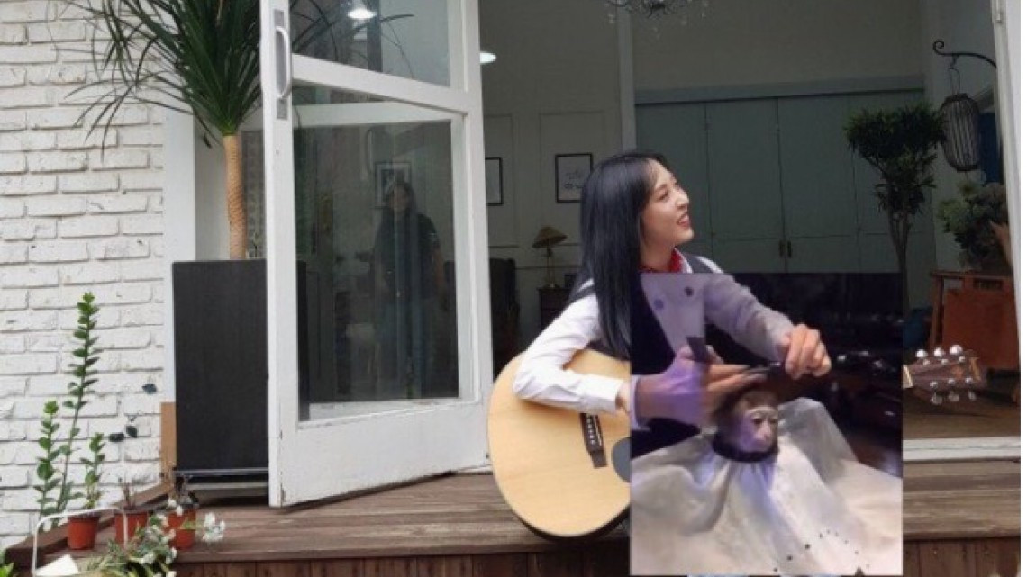 El meme del corte de pelo a un mono que encaja en todo