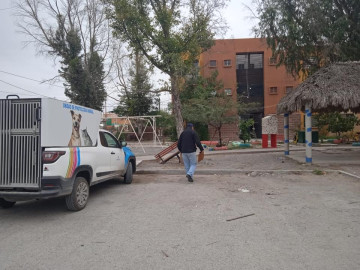 Poco personal para atender quejas de maltrato aninal