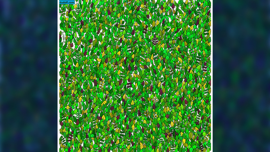  ¡Hay una RANA escondida entre las hojas! ¿Puedes encontrarla?