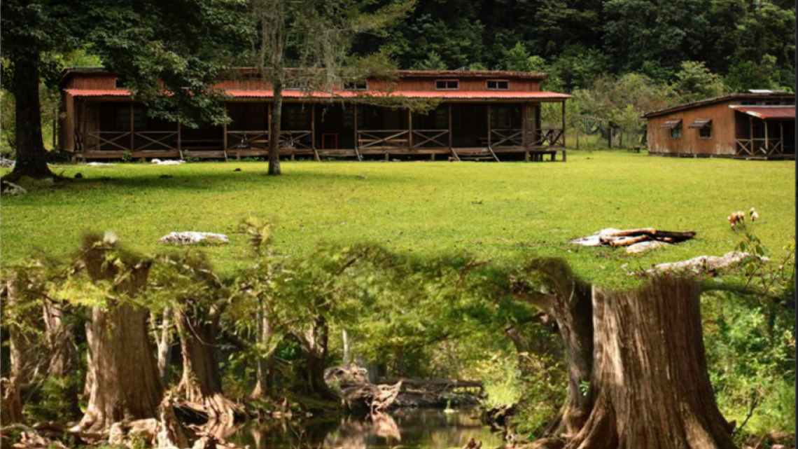 Fundamental proteger el medio ambiente y la biodiversidad: Gobierno de Tamaulipas