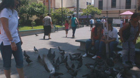 Olga Sosa propone que adultos mayores sean atendidos y no abandonados