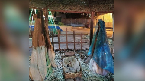 Perrito se duerme en pesebre de Nacimiento  y recibe el mejor regalo de Navidad