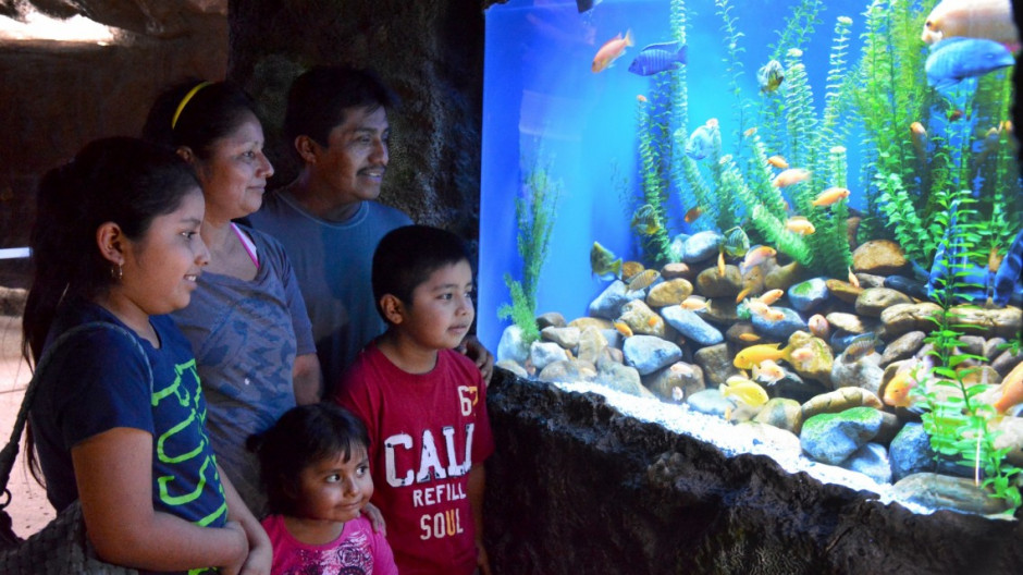Nuevo Laredo celebra San Valentín con Zoológico y Acuario gratis