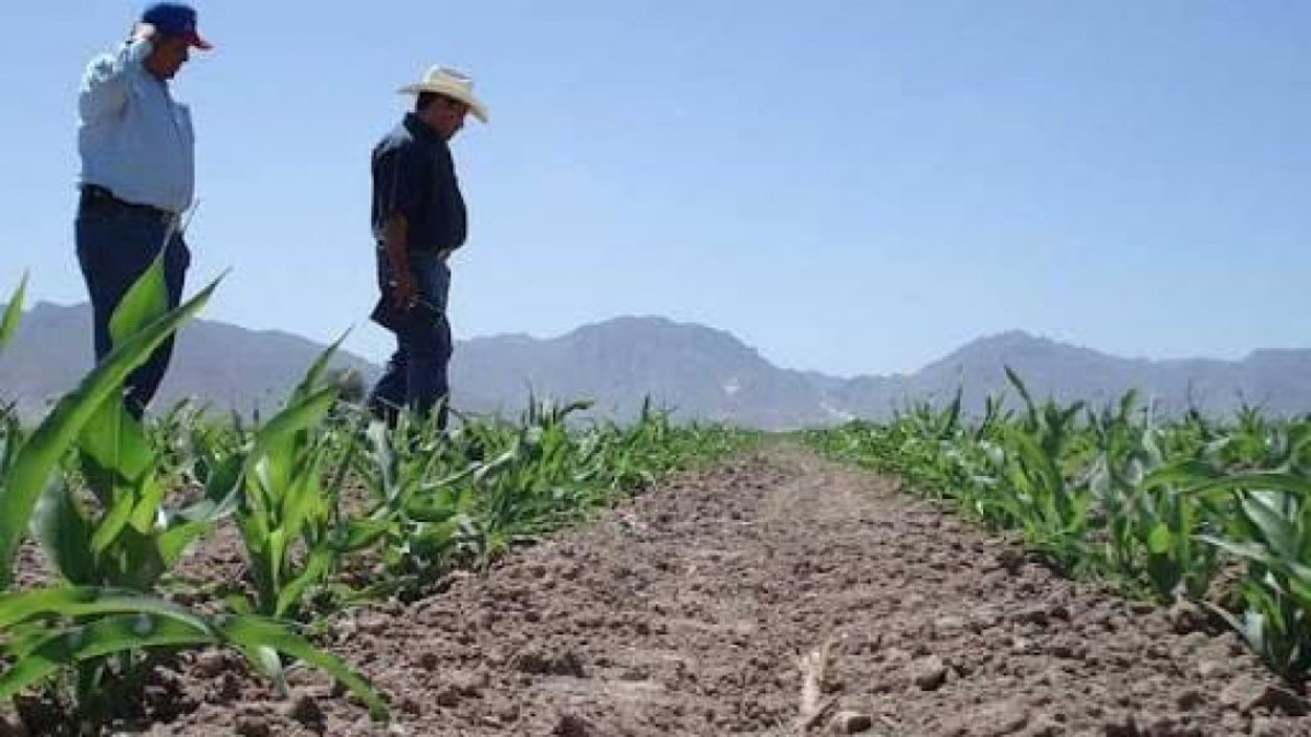 Agricultores culpan al gobierno federal por falta de recursos