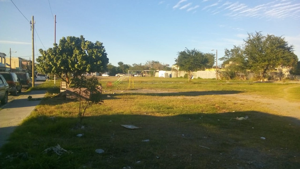 En el 2019 se dio mantenimiento a más de mil áreas verdes