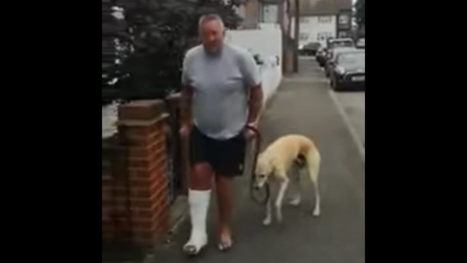 Perrito cojea imitando a su dueño 