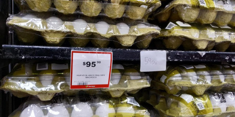 Hasta en 100 pesos se vende tapa de huevo 