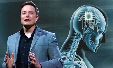 FDA rechaza oferta de Elon Musk de chips cerebrales en humanos