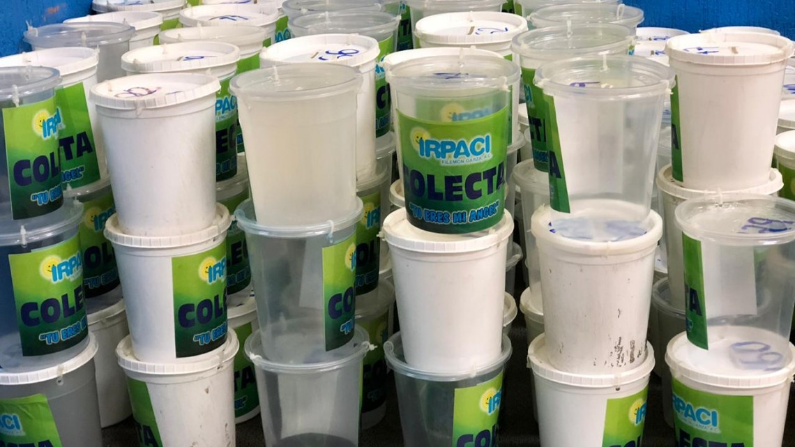 Preparan colecta a beneficio de los niños con parálisis cerebral 