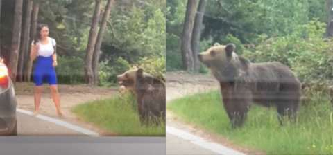 Mujer intenta tomarse una selfie con un oso y recibe un gran susto 