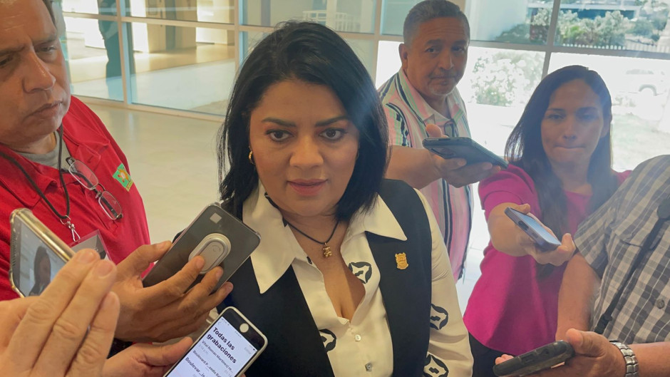 Diputados de Morena están alineados con el partido 