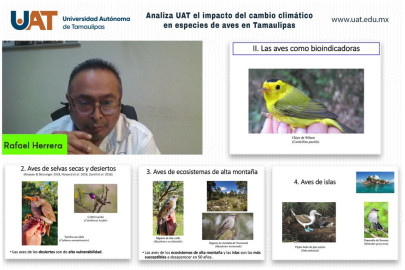 Analiza UAT el impacto del cambio climático en especies de aves