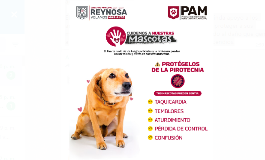 Uso de pirotecnia afecta a mascotas: Gobierno de Reynosa 