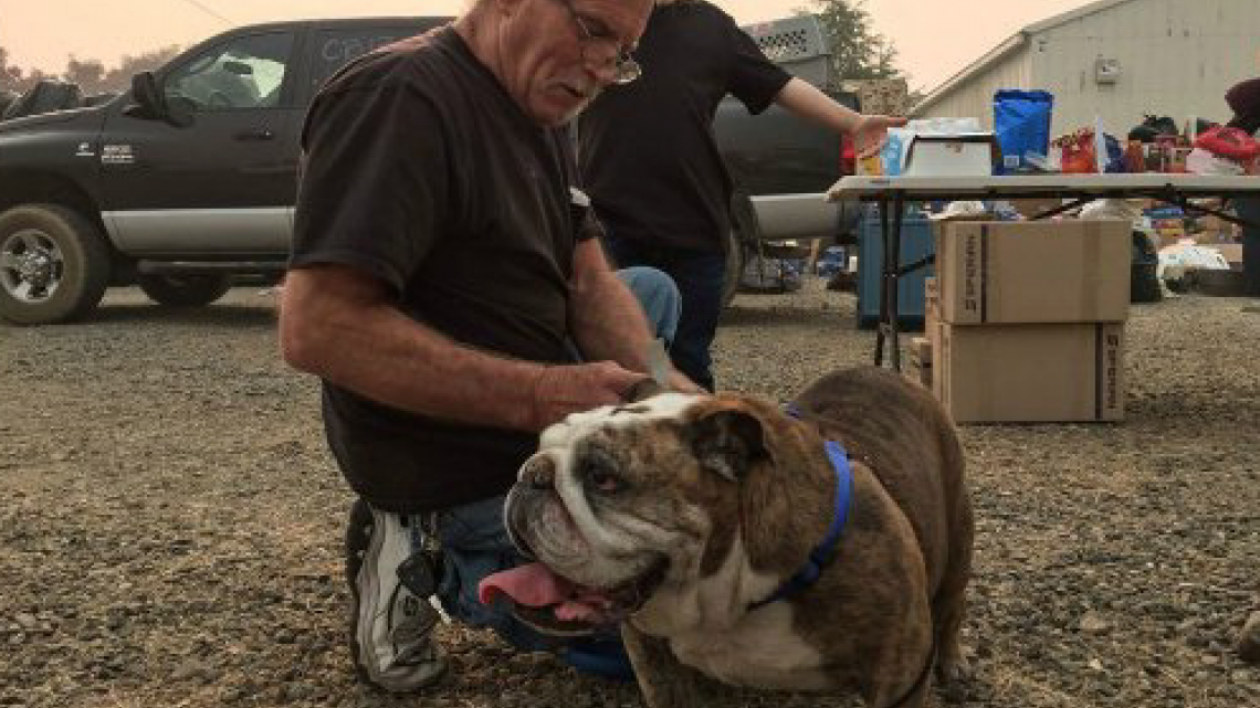 Las otras víctimas de los incendios en California