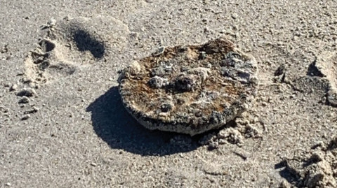 Encuentran mina terrestre de la Segunda Guerra Mundial en Florida