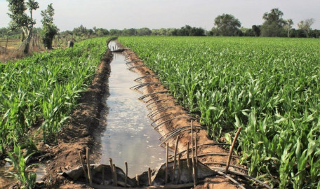 Abren compuertas de presas en riego de auxilio 