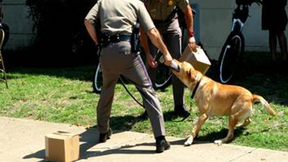 Invita DPS a Día del Museo en Austin
