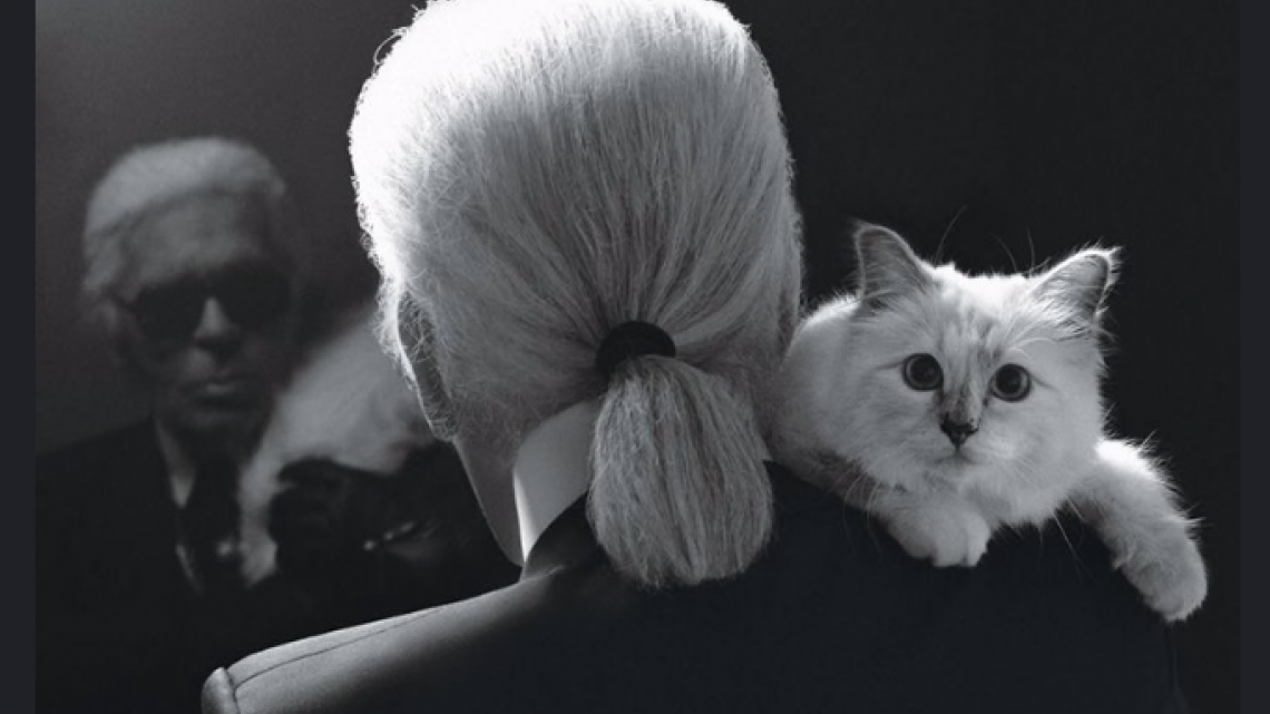 Choupette, la gata que heredará la fortuna de Karl Lagerfeld 