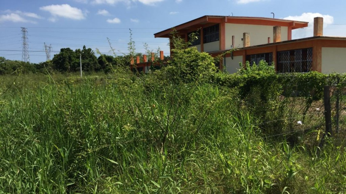 Piden limpieza de un acceso a una escuela secundaria