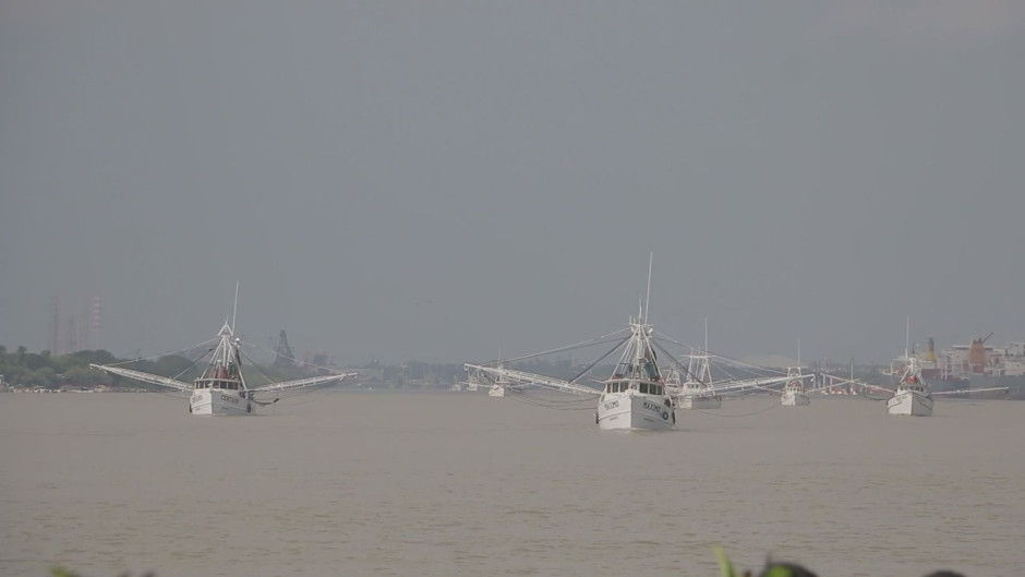 Es flota camaronera tamaulipeca, la más grande del Golfo de México