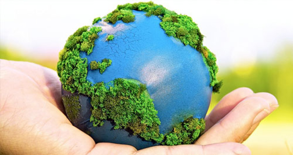 Hoy se celebra el “Día Mundial del Medio Ambiente”