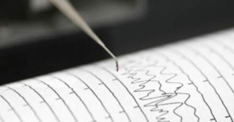 Sismo con epicentro en Afganistán afecta a India y Pakistán