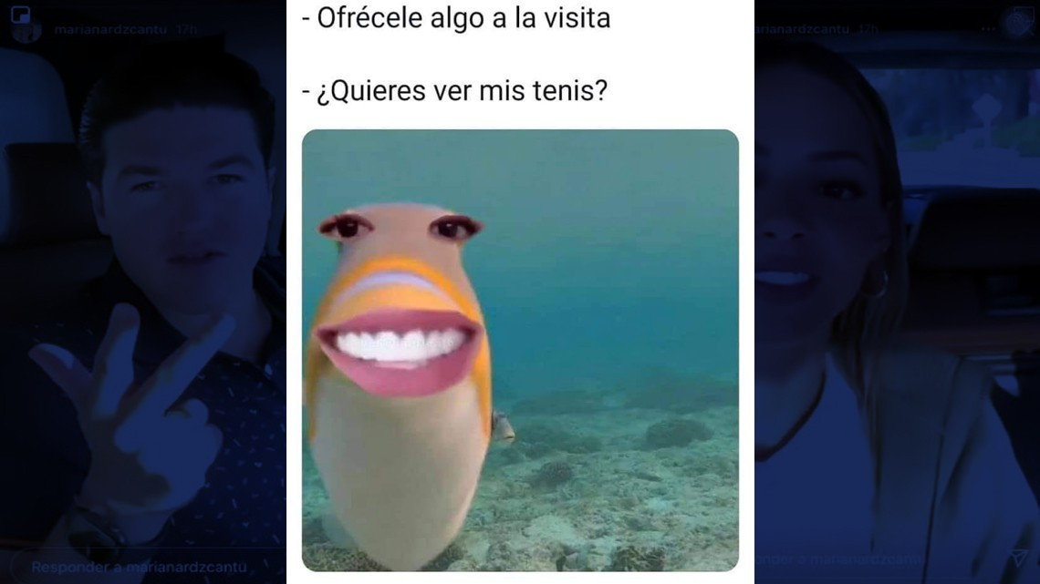 "¿Quieren ver mis tenis? Qué tal, fosfo, fosfo", Samuel García es ignorado por su esposa y redes se burlan de él 