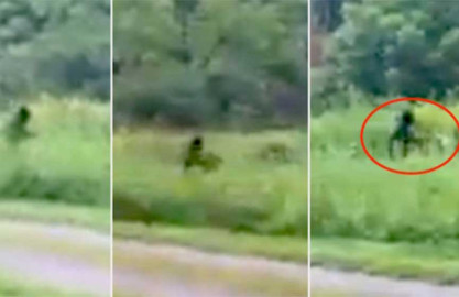 Sujeto graba al mítico ‘Pie Grande’