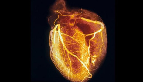 “Andamios celulares” diseñados por mexicanos para reparar tejido del corazón