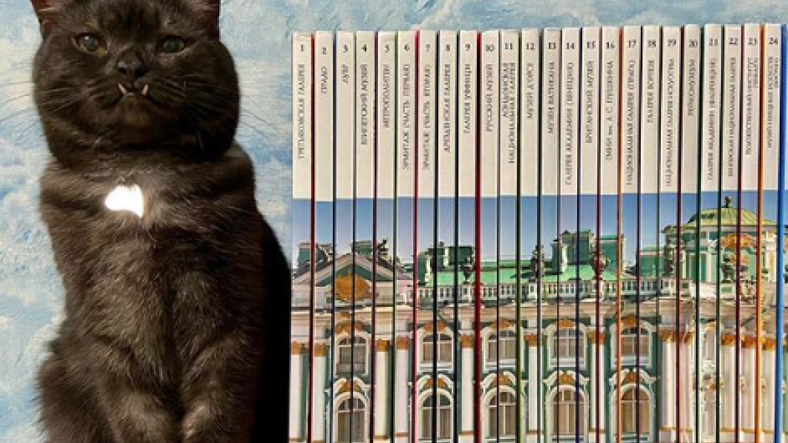 Gato 'vampiro' ayuda a vender libros para apoyar a los animales sin hogar