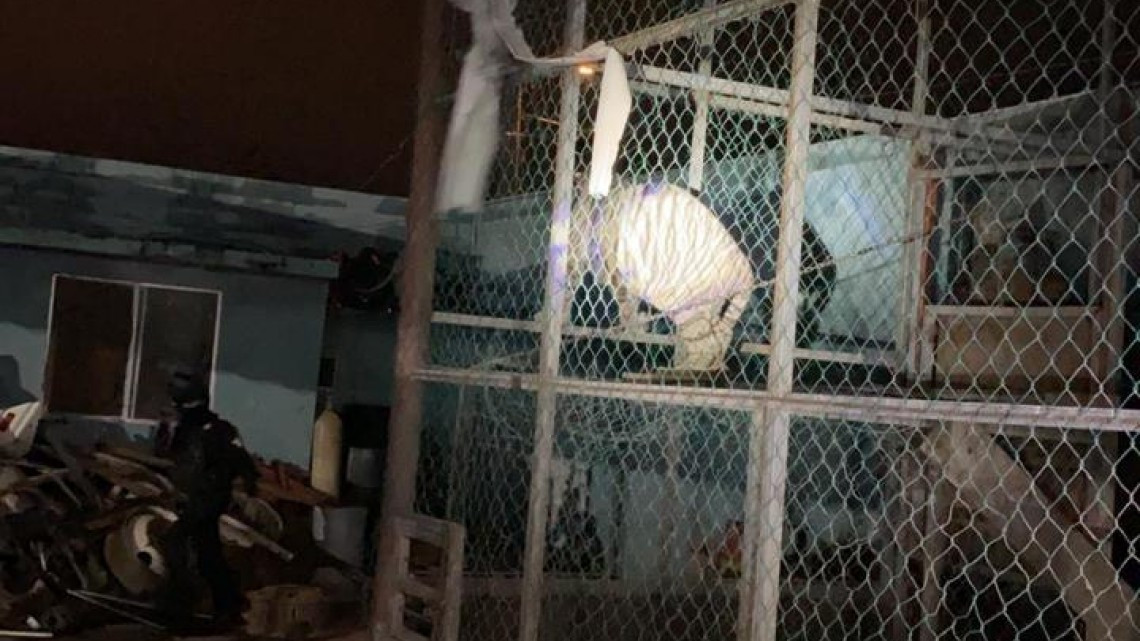 GOPES logró aseguramiento de vehículos de lujo y aves exóticas dentro de una propiedad