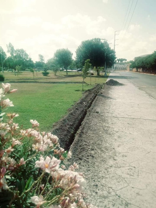 Iba por la barbacoa y detuve la obra: directora del parque Olímpico 