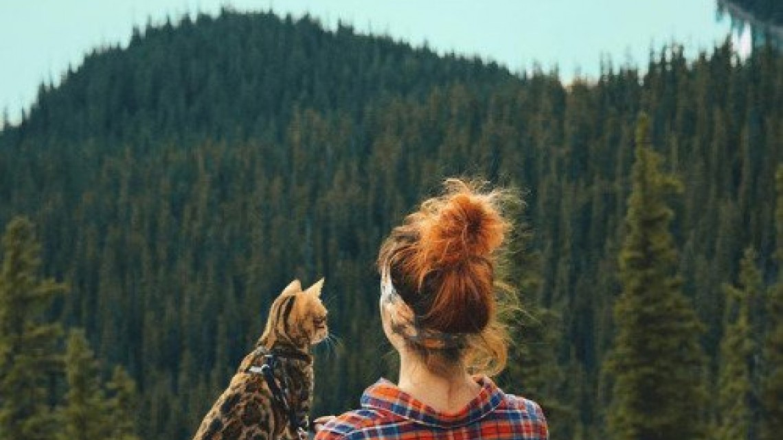 Suki el gato que viaja por el mundo más que todos nosotros 